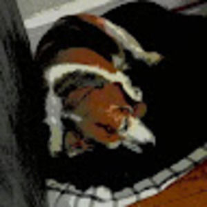 Meet your Posher, Average